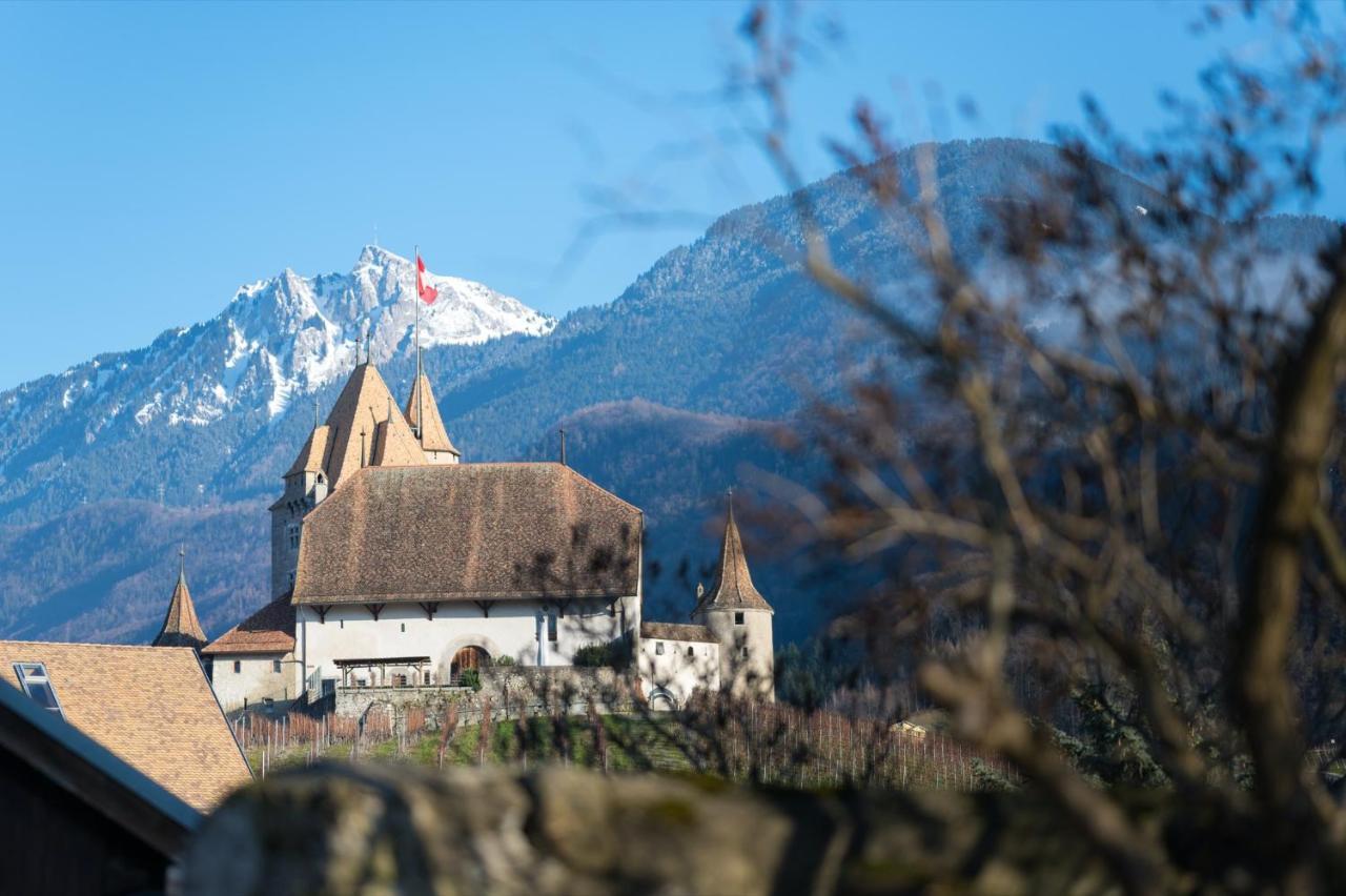 Nonanteneuf Appart Hotel Aigle - Contactless Check-In Exteriér fotografie